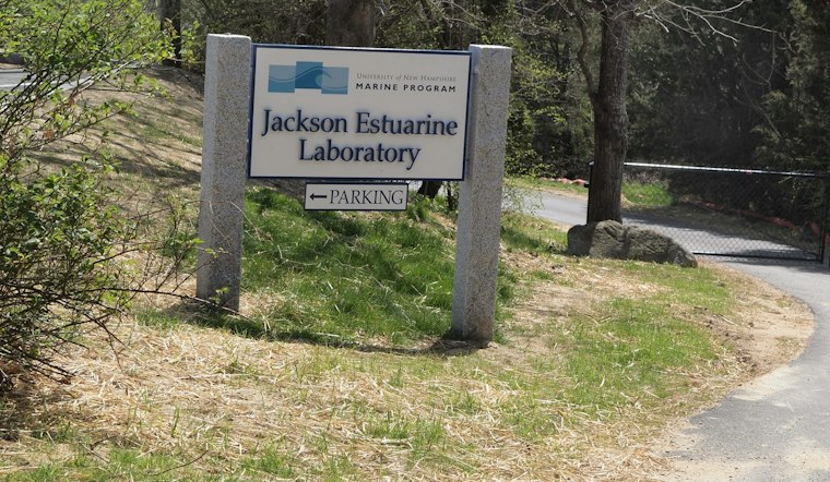 UNH's Durham Lab Unveils $5.2M Expansion to Save Great Bay's Eelgrass