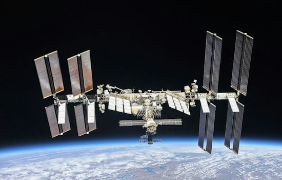 USF Students' Wound-Healing Gel Rockets to Space Station Next Week
