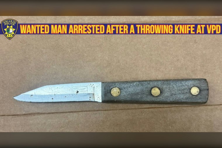 Vallejo Officers Arrest Man Who Hurled Knife at Patrol Car, Spat on Them