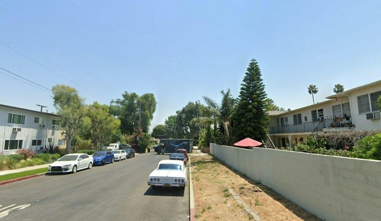 Valley Glen Pays $12K a Year for Cameras That Haven't Led to One Arrest