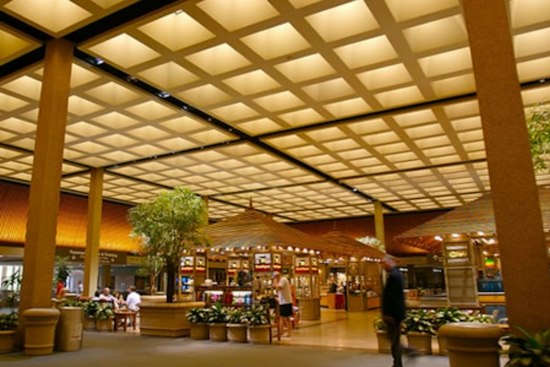 Veteran-Founded Warriors Taphouse Taps Into Norfolk Airport's $1B Overhaul
