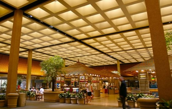 Veteran-Founded Warriors Taphouse Taps Into Norfolk Airport's $1B Overhaul