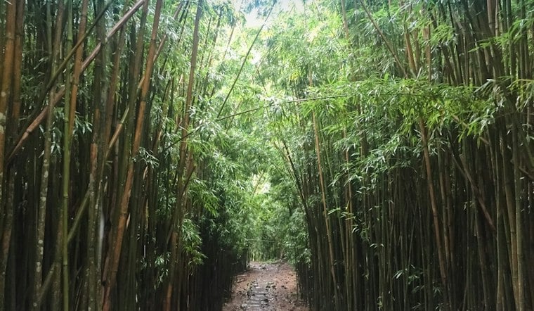 Visitor, 33, Airlifted Off Maui's Pipiwai Trail After Head-Injury Fall