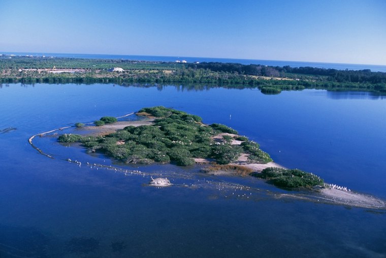 Wall Street Trader Lists Rare Vero Beach Land Assemblage For $66 Million