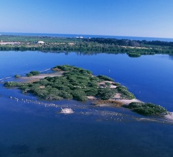 Wall Street Trader Lists Rare Vero Beach Land Assemblage For $66 Million