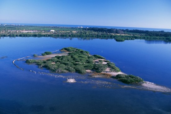 Wall Street Trader Lists Rare Vero Beach Land Assemblage For $66 Million