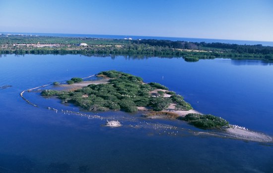 Wall Street Trader Lists Rare Vero Beach Land Assemblage For $66 Million