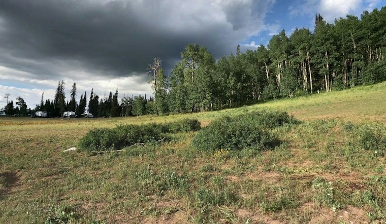 Wasatch County Hunter Accidentally Shoots Son-in-Law, Rescuers Fly Him Out Alive