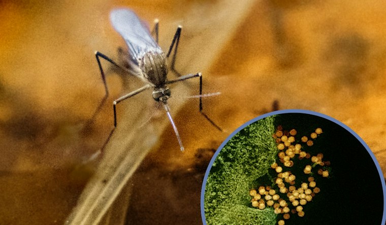 Washington County Resident Hospitalized in RI's First West Nile Case of 2026