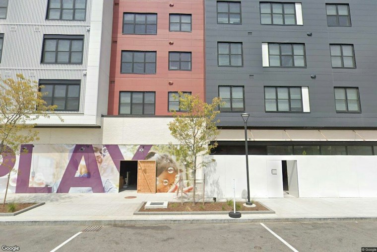 Watertown Mom Knocked Down With Infant As Stranger's Dog Mauls Her Pup At Arsenal Yards