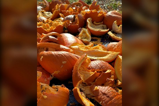 Webster Groves Pumpkin Smash Returns Nov. 7 With Regional Composting Push