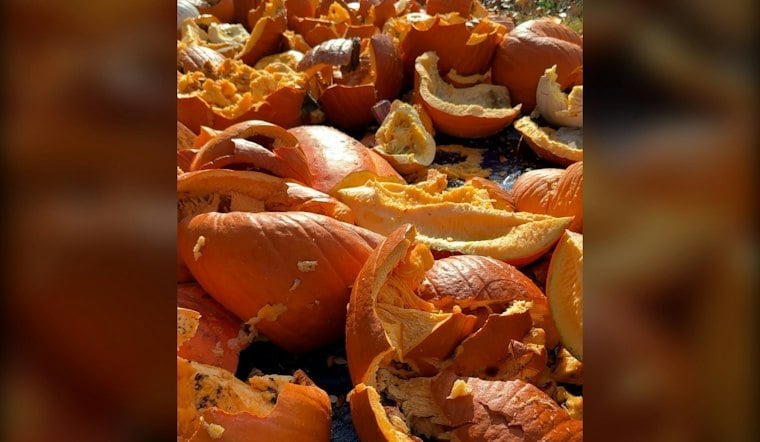 Webster Groves Pumpkin Smash Returns Nov. 7 With Regional Composting Push