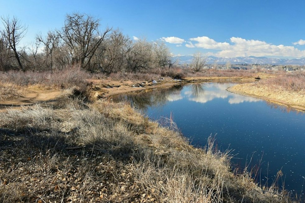Weld County Cold Case Still Unsolved 43 Years After Man Found Stabbed in Ditch