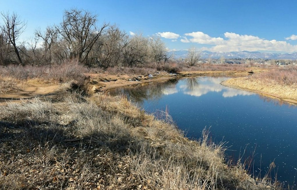 Weld County Cold Case Still Unsolved 43 Years After Man Found Stabbed in Ditch