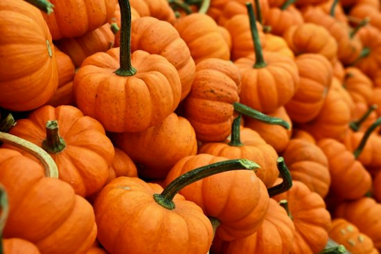 West El Paso Dealership Hosts Free Fall Festival With Pumpkins, Car-Seat Checks