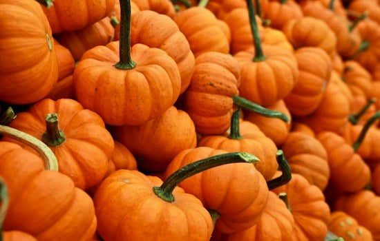 West El Paso Dealership Hosts Free Fall Festival With Pumpkins, Car-Seat Checks