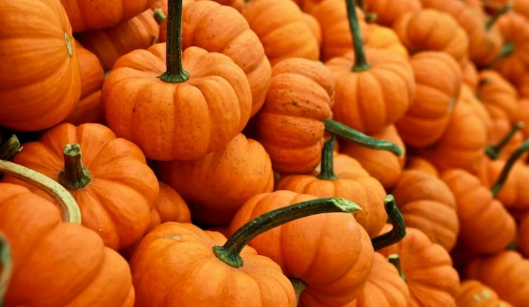 West El Paso Dealership Hosts Free Fall Festival With Pumpkins, Car-Seat Checks