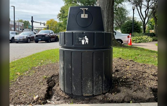 West Hartford Buries Its Trash Cans, Betting on Fewer Raccoon Raids