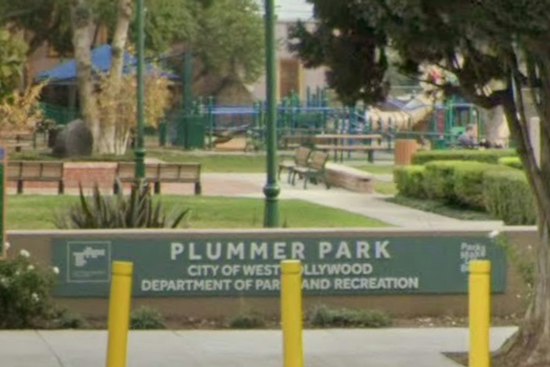 West Hollywood Disability Fair Draws Crowd as City Weighs Merging Health Events