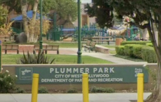 West Hollywood Disability Fair Draws Crowd as City Weighs Merging Health Events
