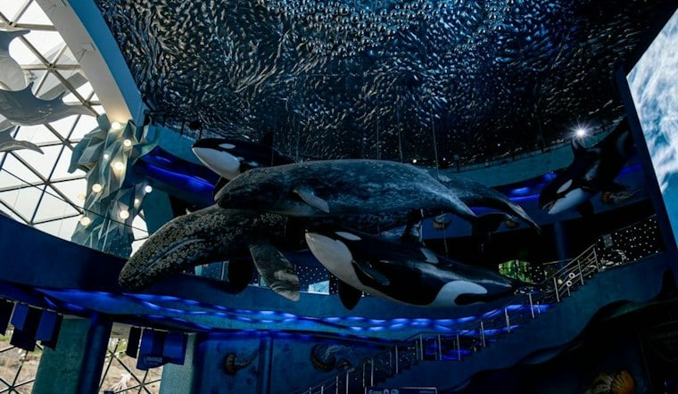 Whale Songs Fill Waikiki Garden as New Exhibit Funds Ocean Cleanup