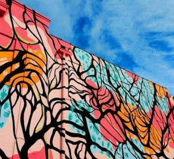 Whitehall Shopping Center Gets 3,800-Square-Foot Mural Honoring the Community