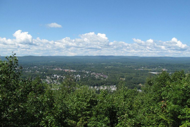 Why Mount Tom Matters to Migrating Hawks, Holyoke Vet Explains