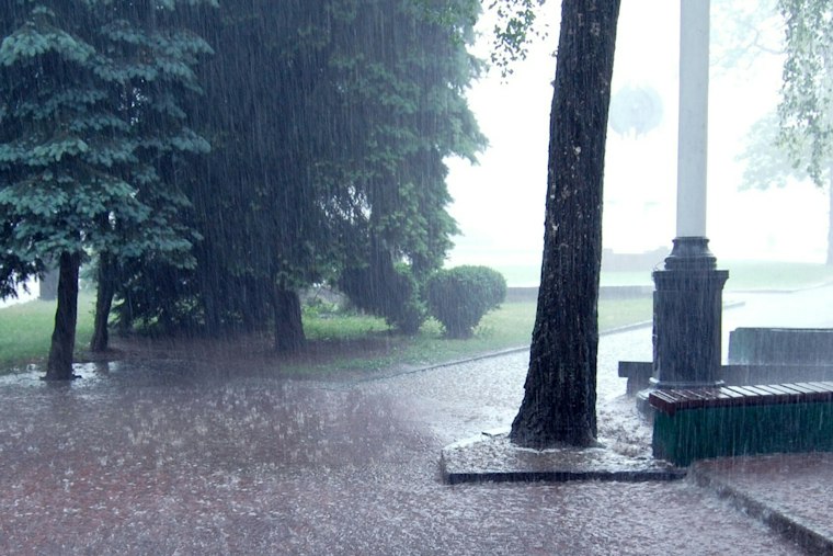 Wichita Falls Soaked by 2 to 4 Inches of Rain as Flooding Closes Roads Across the South and Rolling Plains