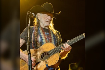 Willie Nelson Endorses James Talarico, Backing Democrat's Bid to Flip Texas Senate Seat