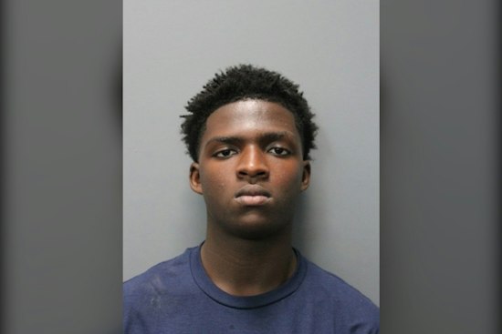 Wimauma Teen, 14, Pulls Knife During School Brawl, Arrested on Charges