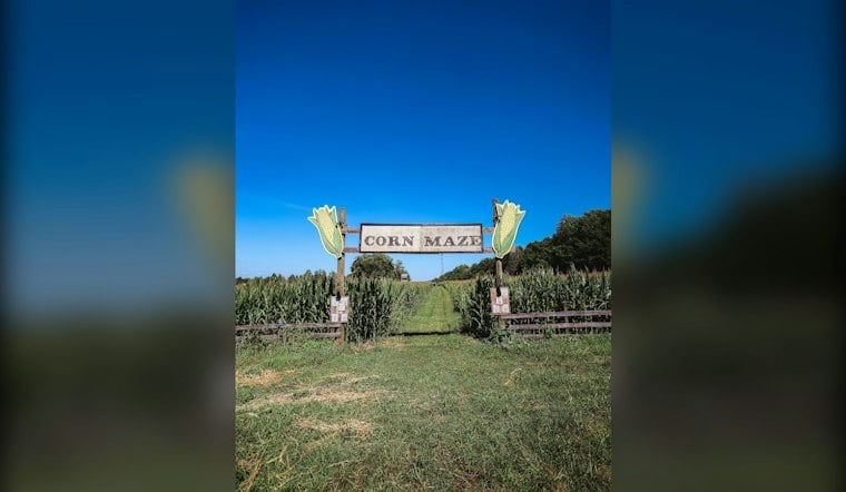 Windsor Farm Dims the Lights for Family-Friendly Flashlight Corn Maze
