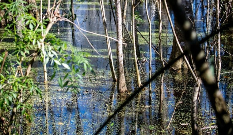 Winter Garden Firefighters Recover Man's Body After Alligators Complicate Lake Apopka Rescue