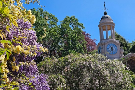 Woodside's Filoli Lights Up With 1,000 Pumpkins and Giant Troll Sculptures