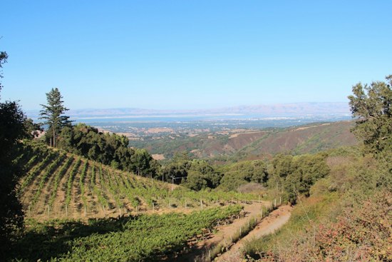 Woodside's Thomas Fogarty Winery Bets on Sound Baths to Lure Silicon Valley