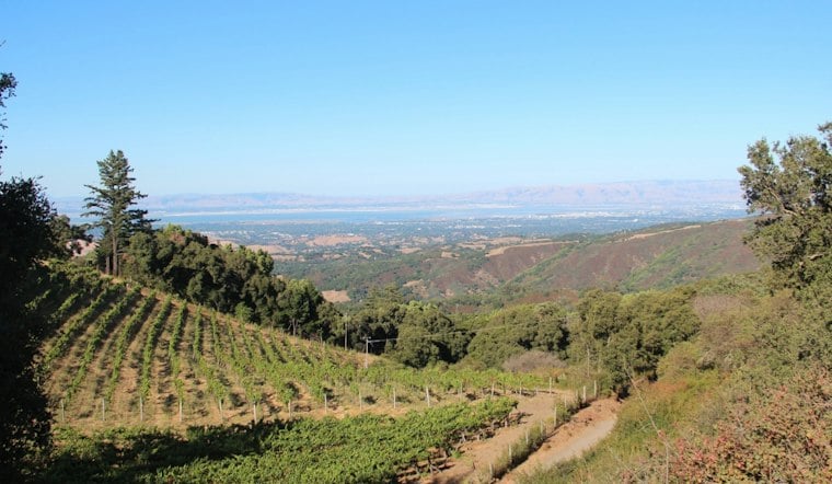 Woodside's Thomas Fogarty Winery Bets on Sound Baths to Lure Silicon Valley