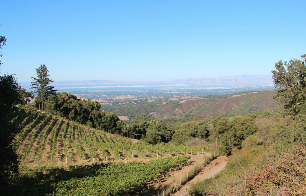 Woodside's Thomas Fogarty Winery Bets on Sound Baths to Lure Silicon Valley