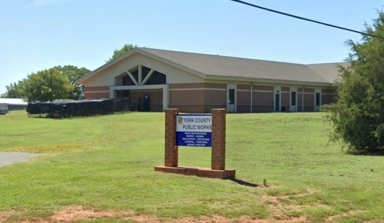 York County Shelter Takes In 50 Neglected Dogs, Suspends Normal Operations