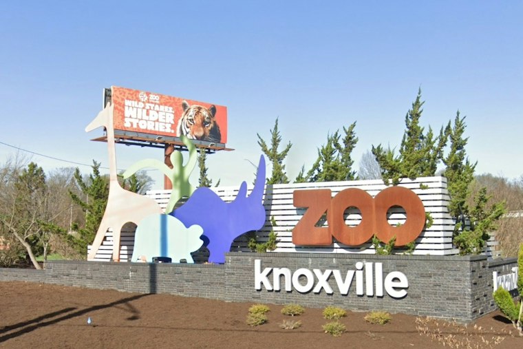 Zoo Knoxville's Smoky Night Lights Returns for Year Two After Storm Repairs