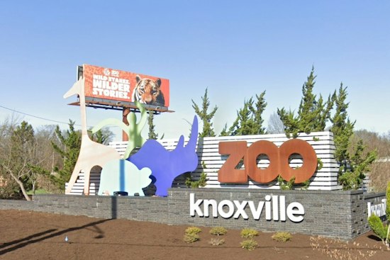 Zoo Knoxville's Smoky Night Lights Returns for Year Two After Storm Repairs