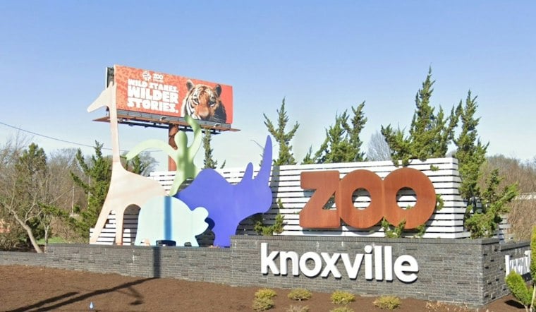 Zoo Knoxville's Smoky Night Lights Returns for Year Two After Storm Repairs