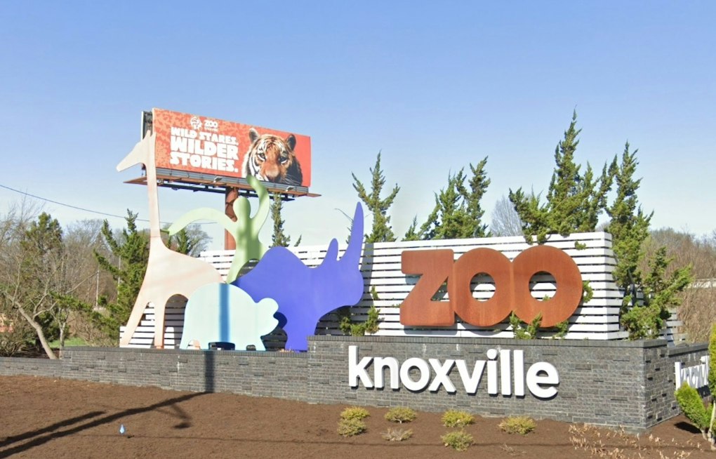 Zoo Knoxville's Smoky Night Lights Returns for Year Two After Storm Repairs