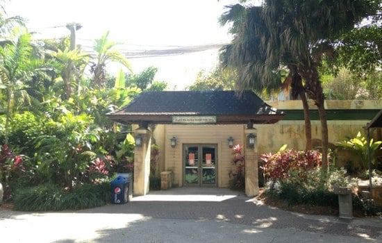 Zoo Miami's 136-Year-Old Tortoise Goliath Became a Father at 134