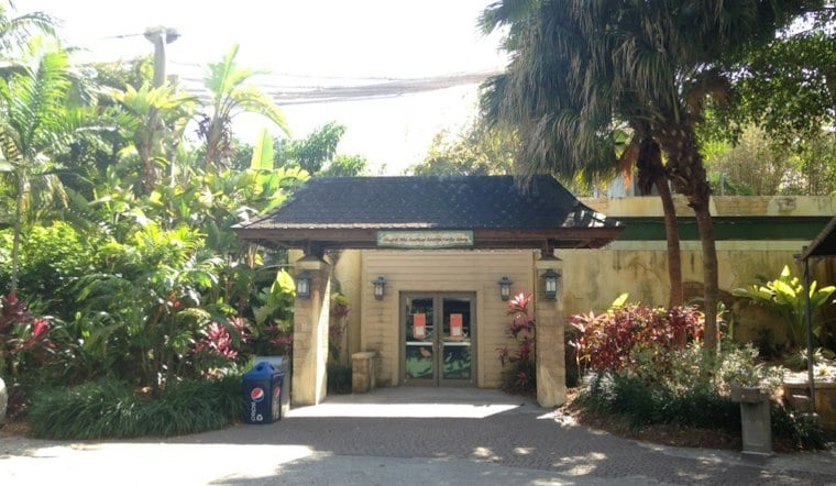 Zoo Miami's 136-Year-Old Tortoise Goliath Became a Father at 134