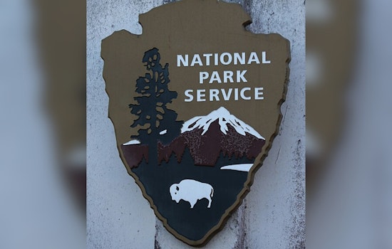 Trump Taps Park Concessions Boss To Run America's National Parks