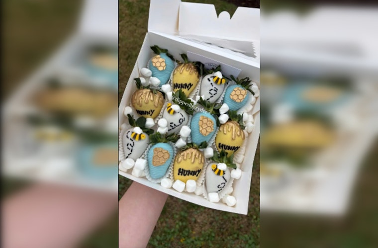 16-Year-Old Entrepreneur Ryder St. Amant's "Dipped' by Ryder" Sweetens St. Charles Parish with Successful Home-Based Business