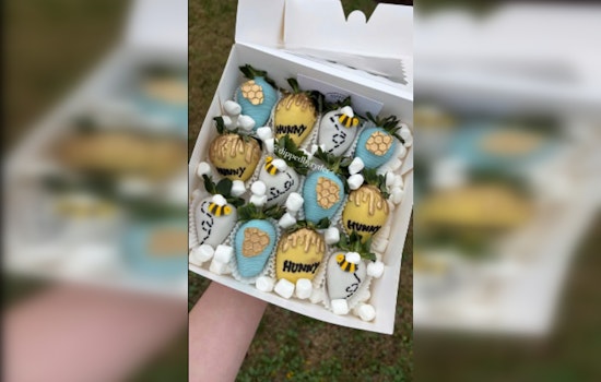 16-Year-Old Entrepreneur Ryder St. Amant's "Dipped' by Ryder" Sweetens St. Charles Parish with Successful Home-Based Business