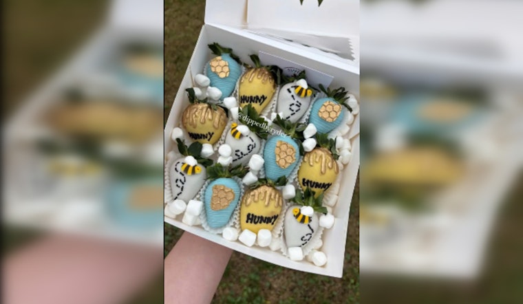 16-Year-Old Entrepreneur Ryder St. Amant's "Dipped' by Ryder" Sweetens St. Charles Parish with Successful Home-Based Business