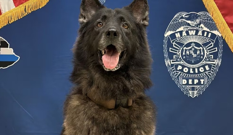 After K-9 Archer’s Patrol Car Death, Hawaii Cops Turn To High-Tech Dog Collars