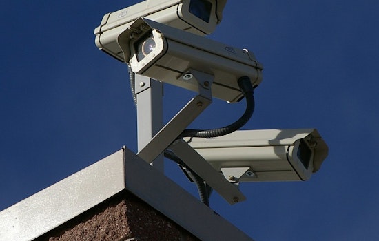 AI Snitch Cam Turns Deadly Hwy. 7 Into West Metro's Safest Stretch