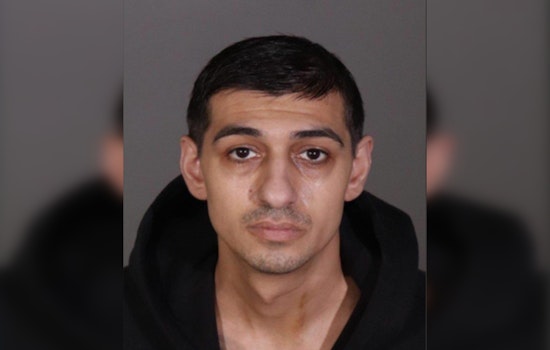 Alleged Lexus Mail Bandit Nabbed In San Fernando Valley Robbery Spree